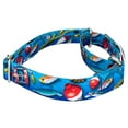 thumbnail image 5 of Country Brook Petz® Gone Fishin' Martingale Dog Collar and Leash, Small, 5 of 7