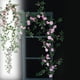 thumbnail image 1 of Xihbxyly Artículos de Clarence Simulación de Enredaderas de Rosas Enredaderas de Rosas Colgando Alrededor de La Ventana Decoración Del Hogar Refugio Decorativo Muxiang Ratán, 1 of 6