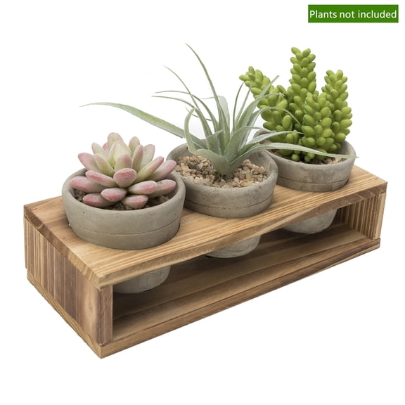 K-Cliffs 3 Piece Mini Gray Cement Pots w/Wood Stand, for Succulents, Herbs Each pot-3. 1Dia*2.5H inches; Wood Stand-10.4L*1.6w*2.4H inches 3lbs