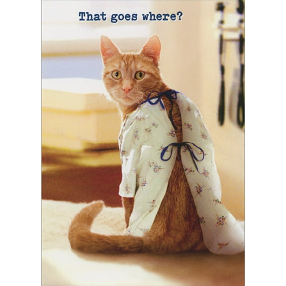 Avanti Press That Goes Where: Worried Cat Wearing Hospital Gown Funny / Humorous Get Well Card