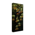 thumbnail image 2 of Trademark Fine Art 'Forest Flame Baltimore Oriole' Canvas Art by Wilhelm Goebel, 2 of 3