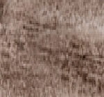 Medium Brown