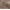 Medium Brown, variant on Maybelline Tattoo Studio 36HR Pigment Brow Pencil, Deep Brown