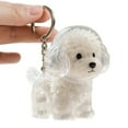 thumbnail image 6 of Clear Dog Hair Storage Charm Keychain Memorial Jewelry Pet Furs Collector Keepsakes For Pet Owners Keepsakes, 6 of 10