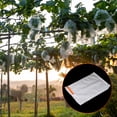 thumbnail image 5 of Fruta Protección Bolsas 16x12" No-Tejida Tela Fruta Red Cubierta Bolsas para Jardín Planta Frutas Flores Blanco Paquete de 100, 5 of 5