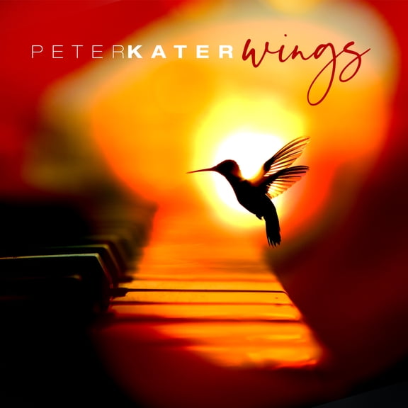 Peter Kater - Wings - Music & Performance - CD