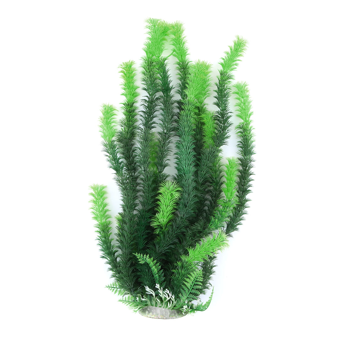 fish bowl plants fish bowl plants