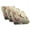 Hummingbird Cherry Blossom, variant on Xoenoiee Dachshund Paw Pattern Stretch Couch Cushion Cover Plush Cushion Slipcover for Chair Loveseat Sofa Cushion Furniture Protector Seat Cushion Sofa Cover