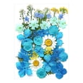 thumbnail image 5 of Birdeem Fleurs Séchées et Embossées pour Kit de Résine Bougies et Artisanat, 5 of 5
