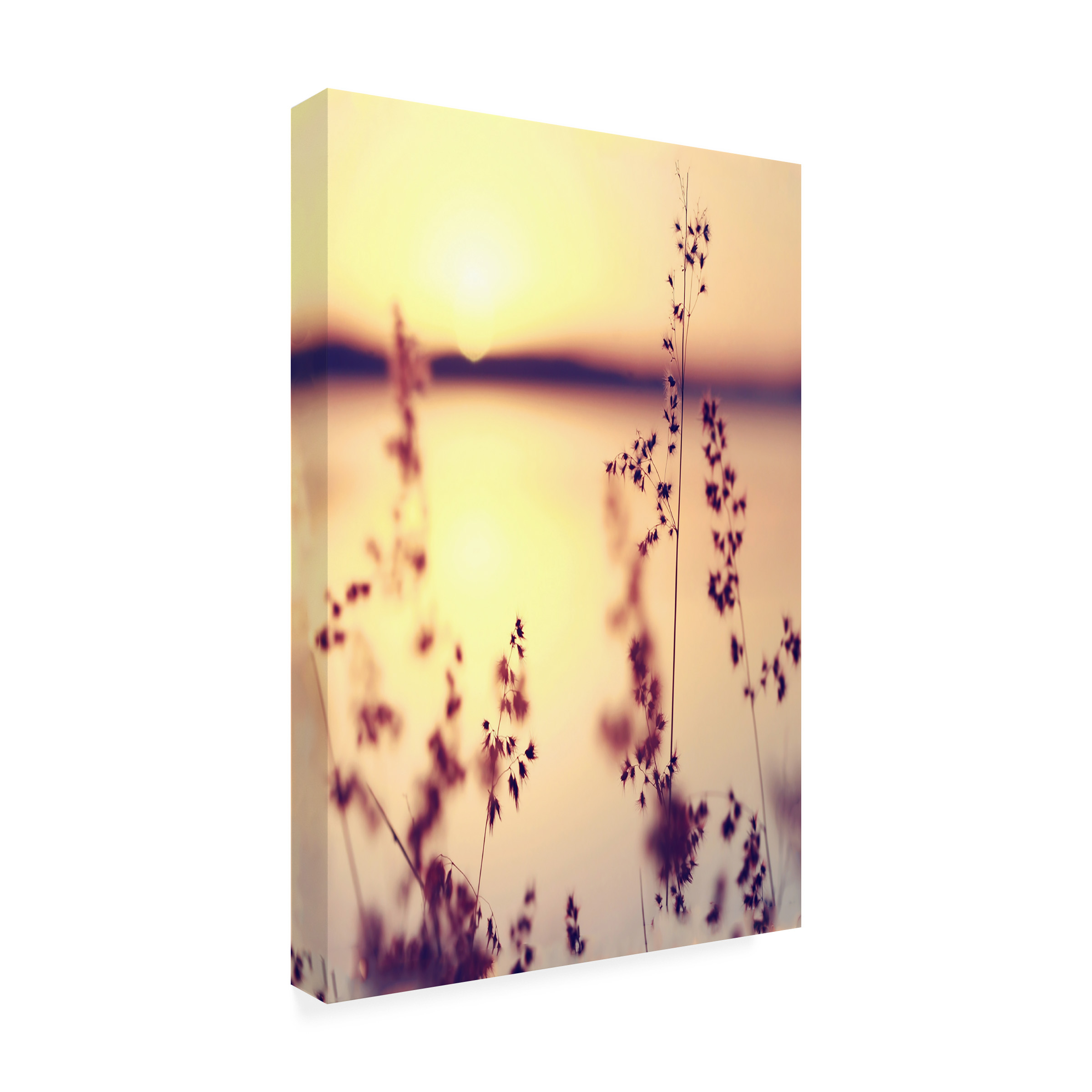 Trademark Fine Art "Our Happy Moments" Canvas Art by Beata Czyzowska Young