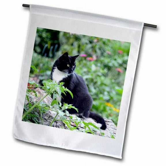 3dRose, Beautiful Female Black and White Tuxedo Cat in the Garden , 12 x 18 inch Garden Flag
