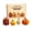 A001, variant on 4 Pack Halloween DIY Beading Supplies, Pumpkin themed 3D bead figurines, full instruction included as creative holiday present for craft enthusiasts