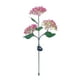 thumbnail image 2 of Soporte de pared para manguera de jardín | Almacenamiento seguro de mangueras | Uso en exteriores | Herramientas de jardinería y riego, 2 of 2