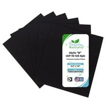 Idylis "B" IAP-10-125 Carbon Filter 6pk