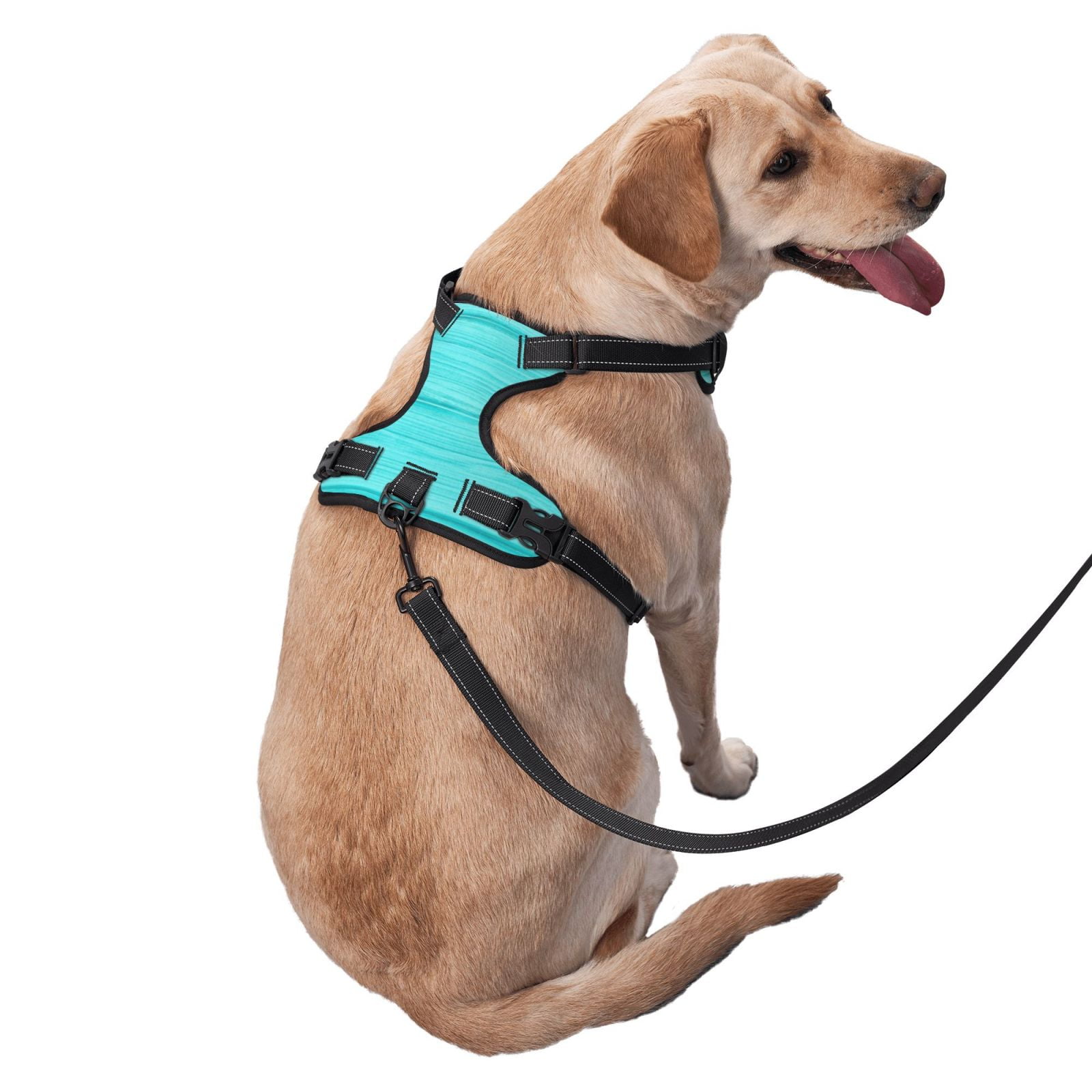 Fuzoiu Turquoise Wooden Print Reflective Dog Harness,Adjustable, Breathable Pet Vest,Dog Harness No Pull,No Choke Pet Vest for Small, Medium, and Large Dogs-Small