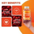 thumbnail image 4 of 2 Pack - Vitamatic Magnesium Gummies 600mg per Serving - 60 Vegan Gummies, 4 of 10