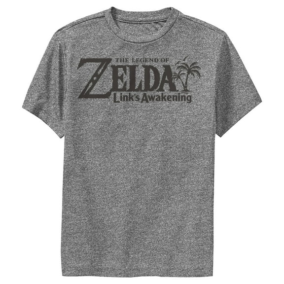 Boy's Nintendo Legend of Zelda Link's Awakening Switch Logo  Performance Graphic Tee Charcoal Heather Large