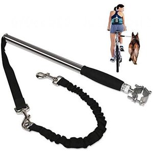 Chien marcheur laisse vélo chien laisse animal de compagnie