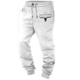 2023 new crossborder hot sale 3d sweatpants digital printing men‘s