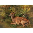 thumbnail image 2 of Franz Xaver von Pausinger 18x14 Gold Ornate Wood Frame and Double Matted Museum Art Print Titled - Resting Hind, 2 of 4