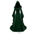 Halloween Dresses for Women Deluxe Witch Dress Costume, Vintage