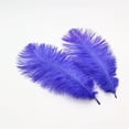 thumbnail image 3 of 20 Pcs Natural Ostrich Feathers,Bexikou 8-10inch Ostrich Feathers Plume for Wedding Centerpieces Home Decoration, 3 of 7