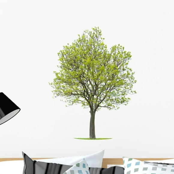 Walnut Tree Wall Decal Peel and Stick Graphic (24 in H x 20 in W) WM104413
