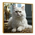 thumbnail image 2 of Designart "Sophisticated Exotic Shorthair Cat" Animals Cat Floater Framed Canvas Prints, 2 of 5