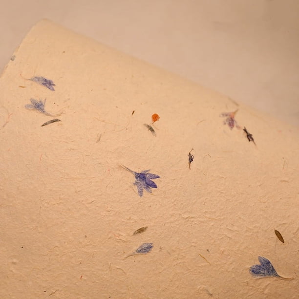 Zhuge Flores, regalos, papel de embalaje para cajas de regalo, papel de pétalos de plantas naturales hecho a mano (pétalos morados)