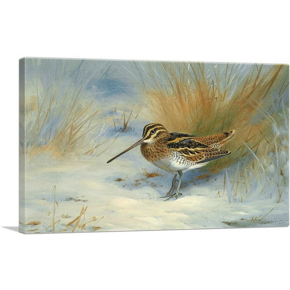 ARTCANVAS Snipe In The Snow 1923 Canvas Art Print by Archibald Thorburn - Size: 26" x 18" (1.50" Deep)