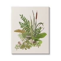 Stupell Industries Varied Nature Botanicals Forest Floor Mushrooms Arrangement Graphic Art Gallery Wrapped Canvas Print Wall Art, Design by House of Rose