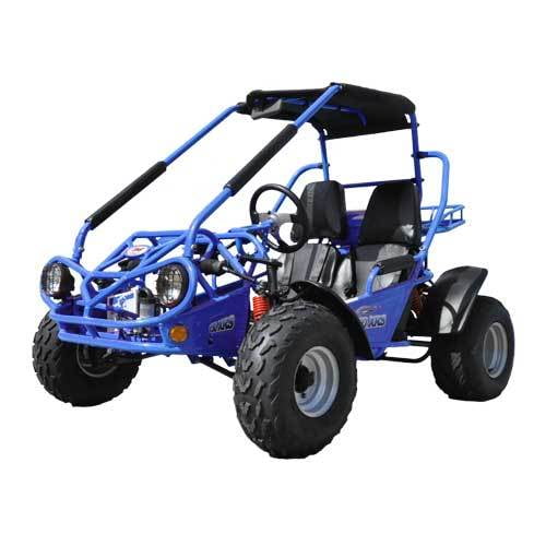 Tbm 150 sales go kart