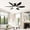 Black, variant on PHORUS 51" Modern White Ceiling Fan with Light and RGB LED, Low Profile Flush Mount, Remote & App Control, Quiet Reversible DC Motor, 6 Blade Softer Wind Indoor/Outdoor Patio