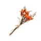 thumbnail image 4 of Kearding Elegancia atemporal en arreglos de flores y hojas secas Elegante ramo de flores secas naturales HS-15, 4 of 6