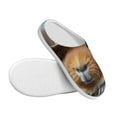 thumbnail image 3 of Daiia Cowboy Hat Guinea Pig Print Women’s Fuzzy Slippers Memory Foam Lightweight House Shoes Cozy Loafer Flannel House Shoes-35/36, 3 of 7