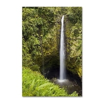 Trademark Fine Art Chris Moyer Akaka Falls Canvas Wall Art - 30x47