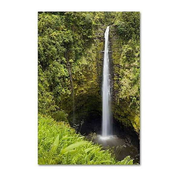 Trademark Fine Art Chris Moyer Akaka Falls Canvas Wall Art - 30x47