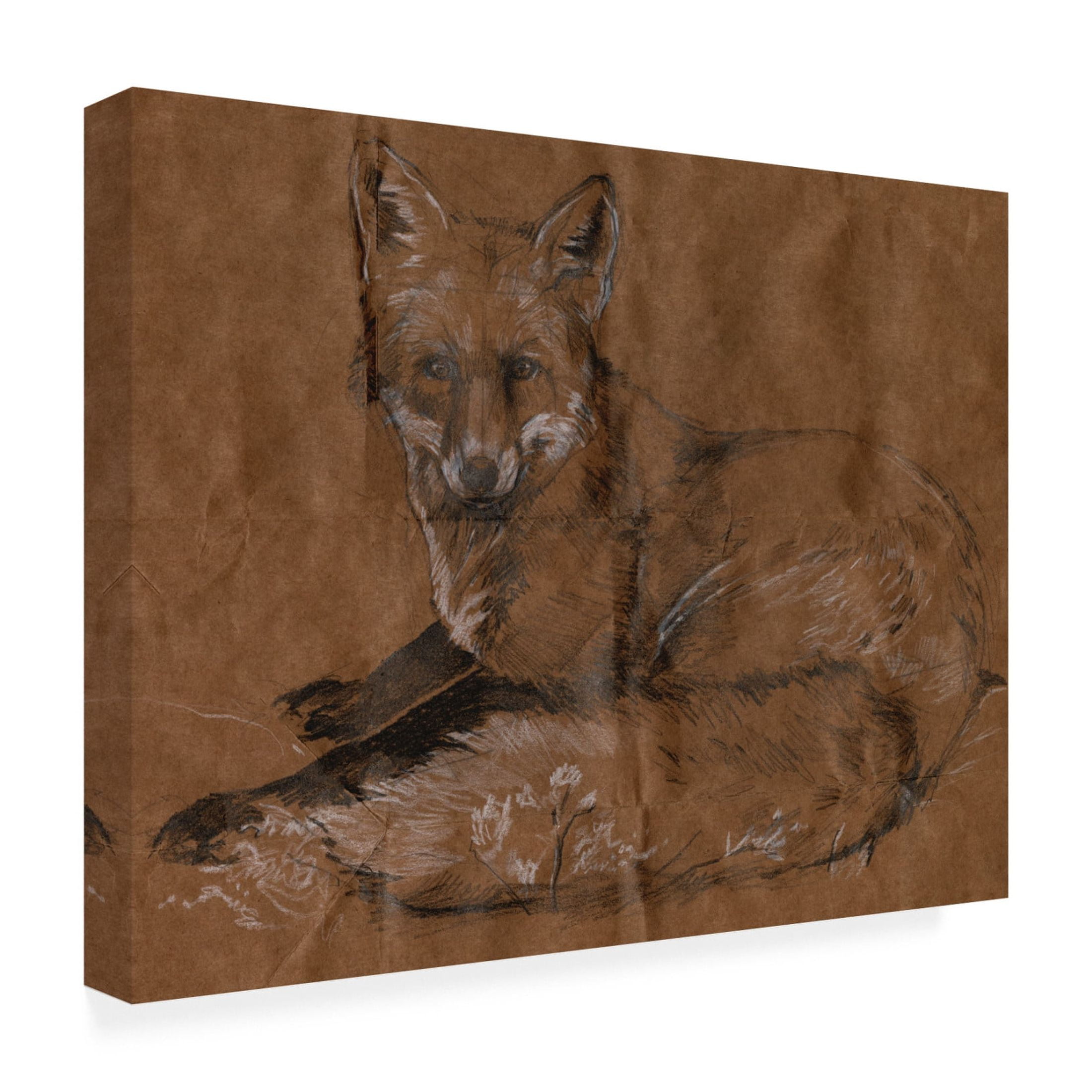 Canvas Wall Art - Jennifer Paxton Parker 'Crafty Fox II' Wall Art for Living Room, Bedroom, or Office Décor by Trademark Fine Art - 47 x 35 Inches