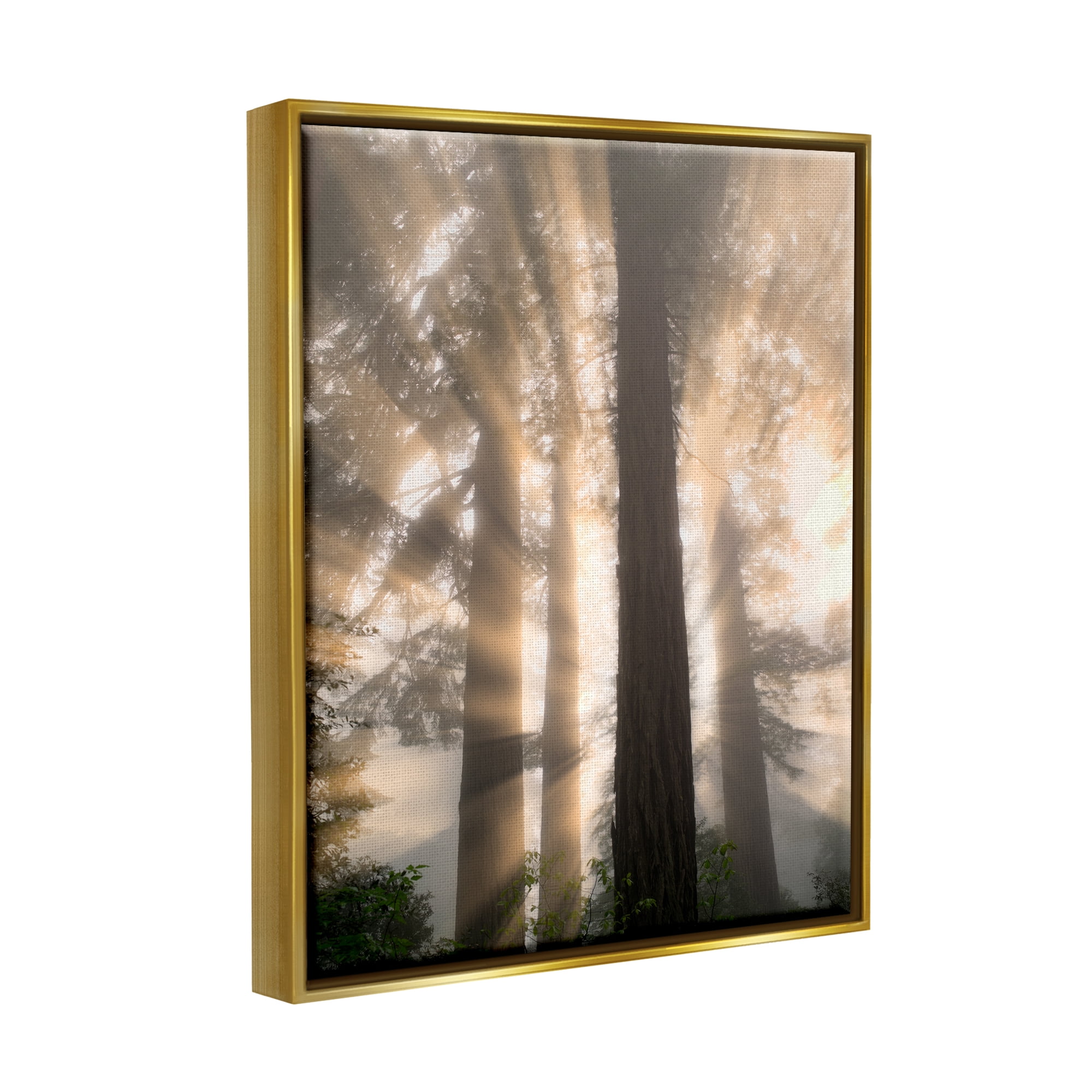 Stupell Industries Sun Rays Woodland Trees View Landscape Photography Gold Floater Framed Art Print Wall Art