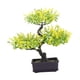 thumbnail image 2 of Bonsái artificial multiusos, planta de imitación coleccionable realista en maceta Amarillo, 2 of 9