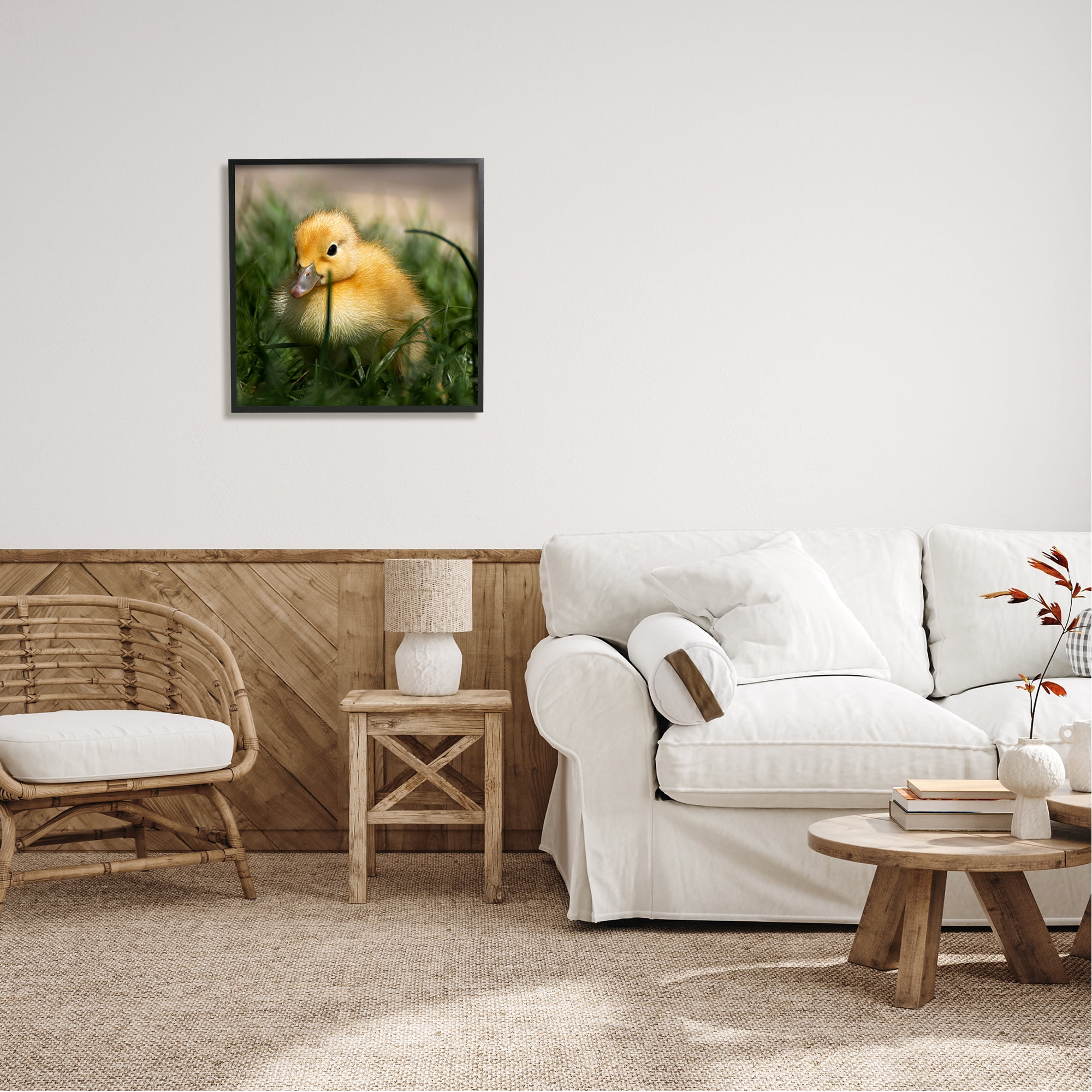 Stupell Industries Baby Duckling in Grass Photography Animals & Insects Photography Black Framed Art Print Wall Art