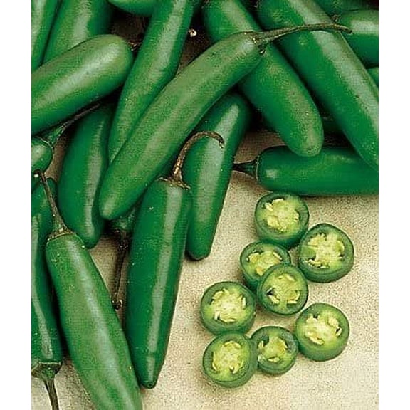 Todd's Seeds Hot Pepper -Serrano Hot Pepper Heirloom Seed - 1g Packet