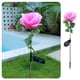 thumbnail image 5 of Decoraciones navideñas, adornos navideños, regalos navideños, decoración de temporada, luces solares de suelo con rosas de simulación, impermeables para exteriores, para jardín, césped, luz LED de reg, 5 of 9