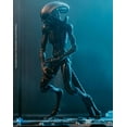 thumbnail image 4 of Hiya Toys - Alien 3 Dog Alien PX 1/18 Scale Figure, Hiya Toys, Gifts, 4 of 4