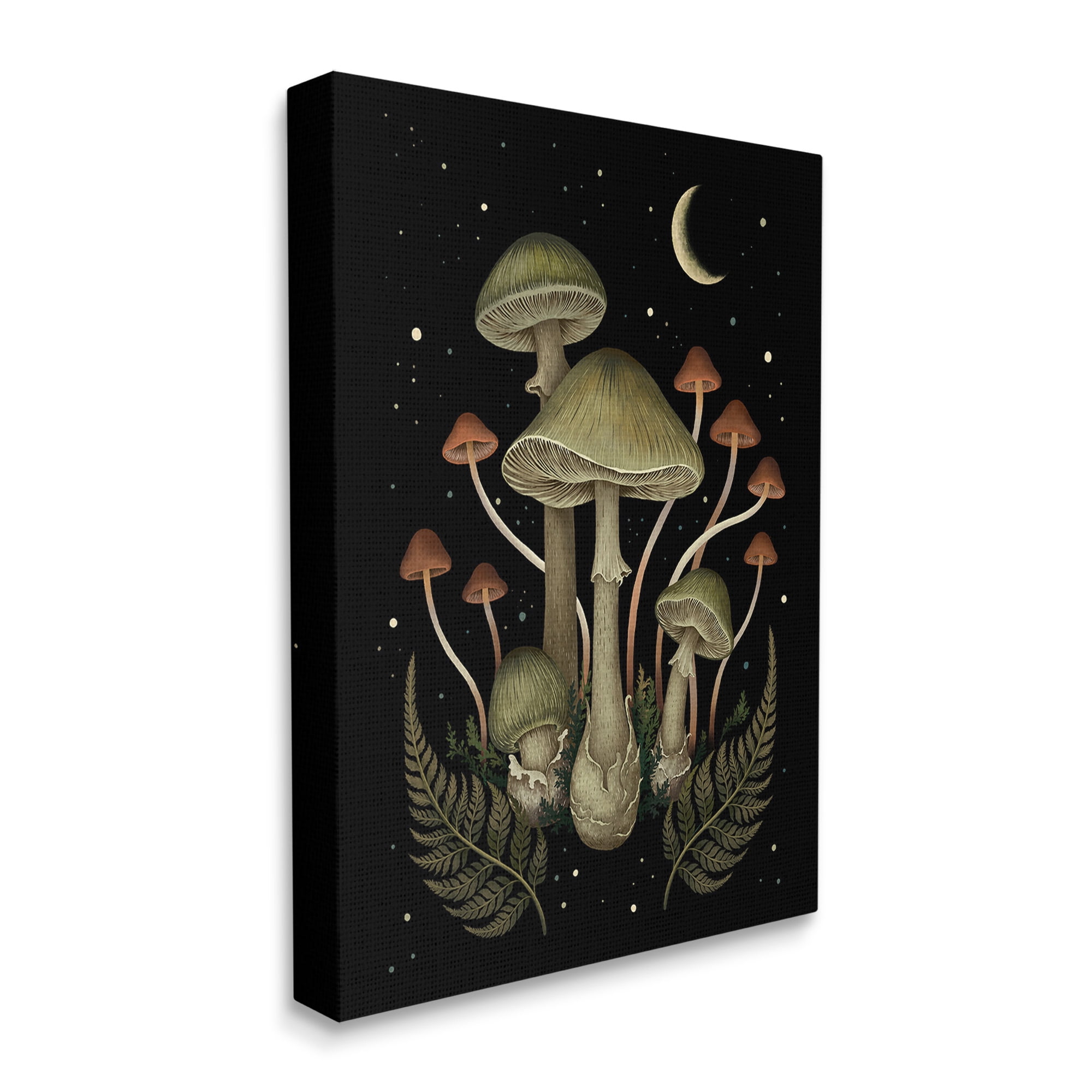Stupell Industries Night Mushrooms & Ferns Botanical & Floral Painting Gallery Wrapped Canvas Art Print Wall Art, 24 x 30