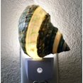 thumbnail image 2 of FYBTO Murex Ramosus Sea Shell Night Light Nautical Natural Seashell Beach Home Décor, 2 of 4