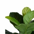 A & B Home Fiddle Leaf Artificial Fig Tree