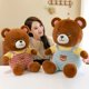 thumbnail image 2 of 40/50/60cm Cute / Soft/ Brown Bear Plush Toys/ Children's Pacifying Brown Bear Dolls/ Children's Birthday Gifts/ Christmas Giftspurple50cm Deng Xun unisex, 2 of 2