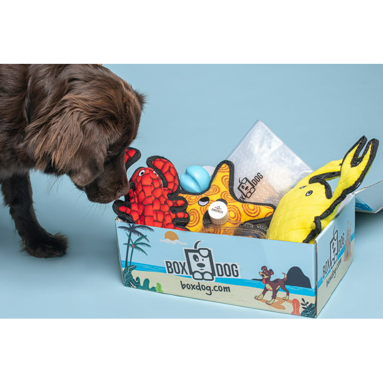 The Box - Chew Toys & Treat Puppy Gift Box