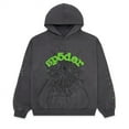 thumbnail image 1 of Sp5der Wait Web Hoodie Slatesweater Hooded Shirt -nmaov, 1 of 2